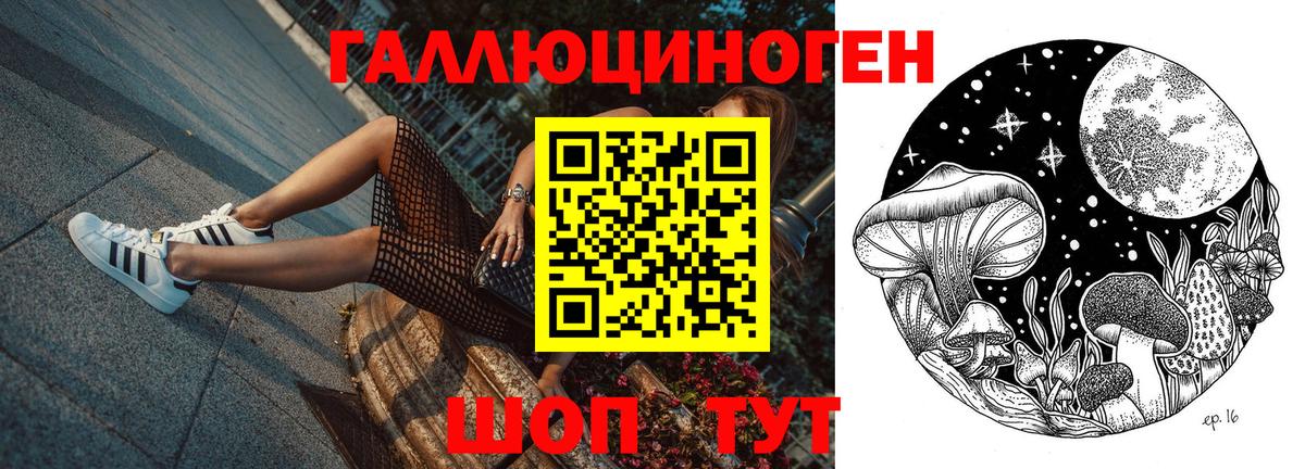 Тамбов  Псилоцибиновые грибы Cubensis  Галлюциногенные грибы Psilocybe  Вход с VPN 